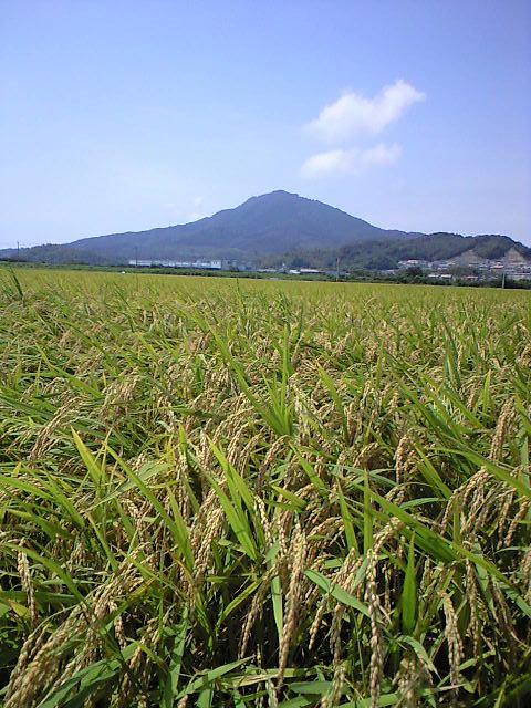 f0092906_1920488.jpg
