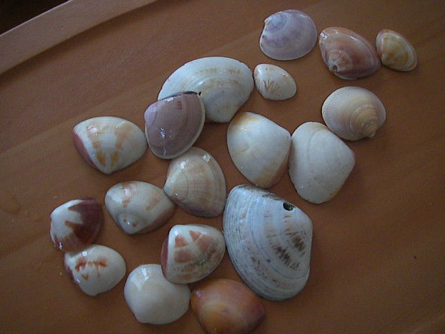 f0038407_22345377.jpg
