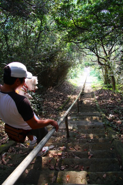 ２００９年夏休み（チャレンジ夏の伊豆旅行！）～後編～_f0039907_1281882.jpg