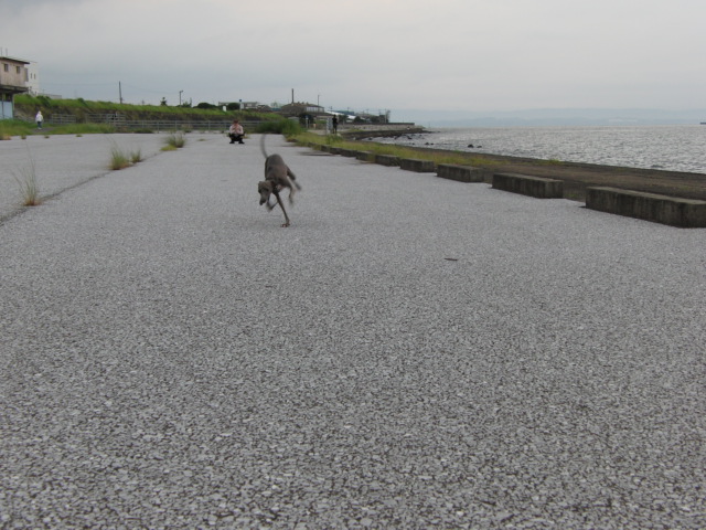 e0141909_1571648.jpg