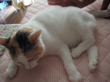 b0042310_9235620.jpg