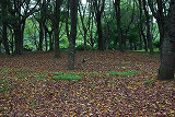 d0147812_16225487.gif