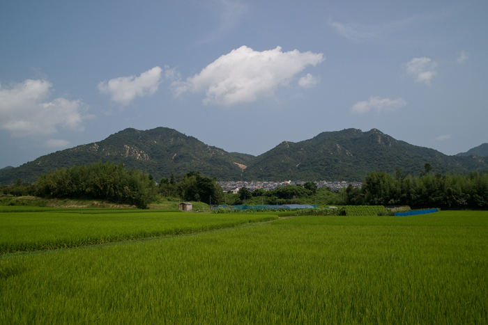 土砂災害地 山口県防府 福岡県篠栗町その後_a0096313_20152422.jpg