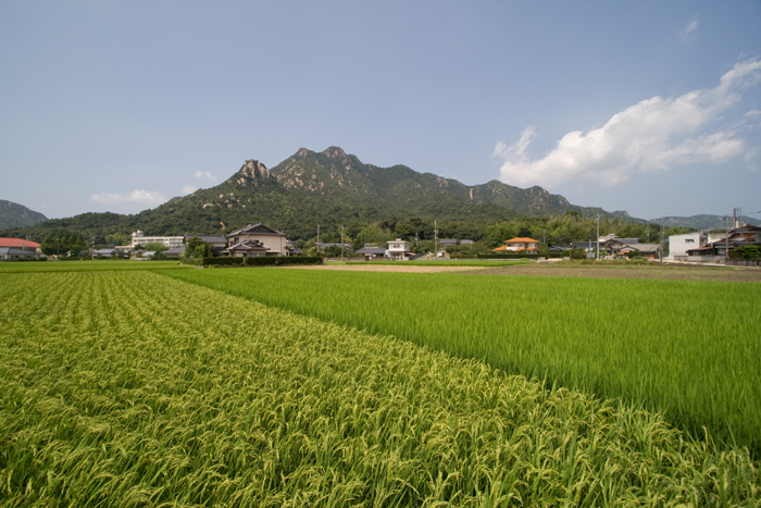 土砂災害地 山口県防府 福岡県篠栗町その後_a0096313_20153617.jpg