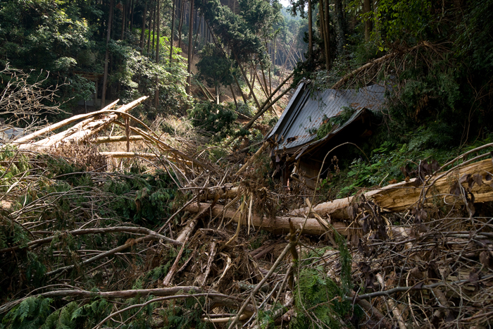 土砂災害地 山口県防府 福岡県篠栗町その後_a0096313_20223783.jpg