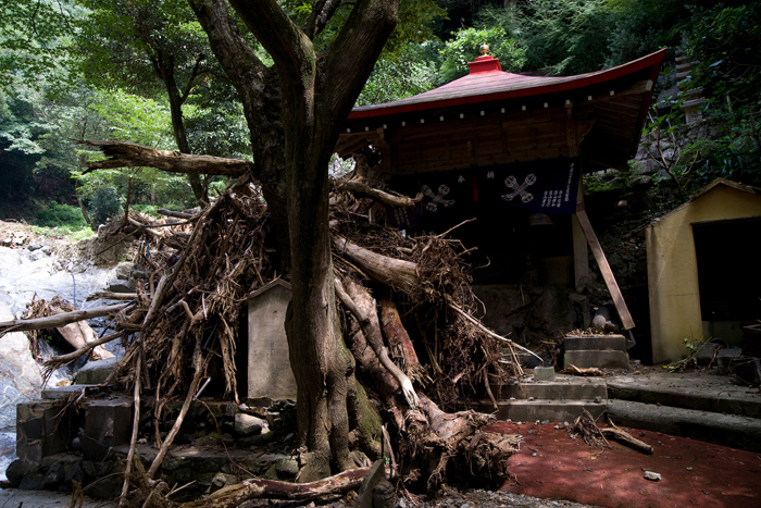 土砂災害地 山口県防府 福岡県篠栗町その後_a0096313_20331265.jpg