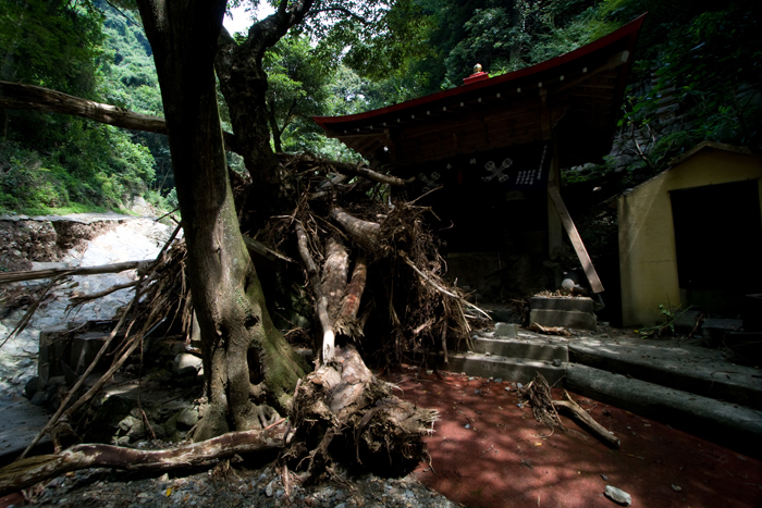 土砂災害地 山口県防府 福岡県篠栗町その後_a0096313_20362858.jpg