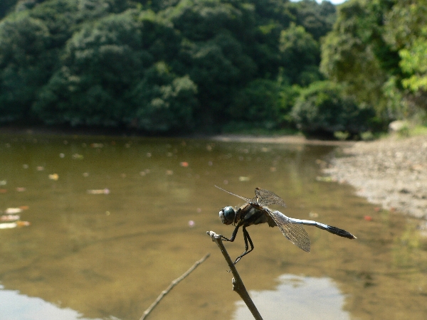 e0002314_2337426.jpg