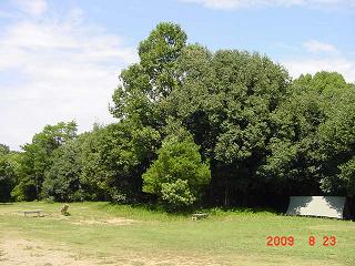 e0149515_19153076.jpg