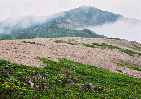 南アルプス南部の山々_a0113718_11553188.jpg