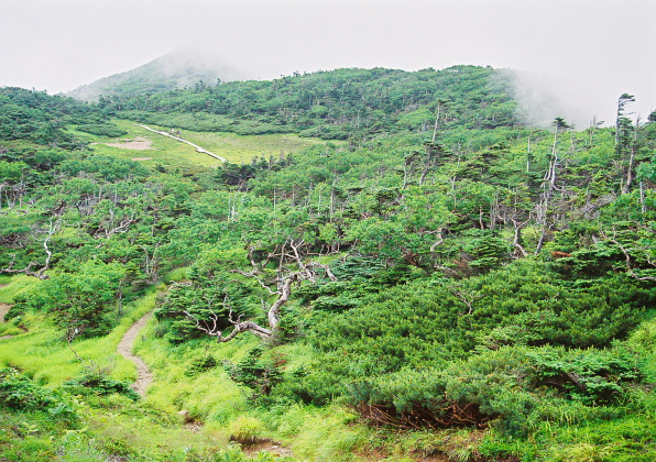 南アルプス南部の山々_a0113718_1201746.jpg