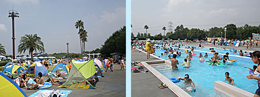 8月22日 東武動物公園は暑かった 釣り好き匡蔵の写真日記 8月22日 東武動物公園は暑かった 釣り好き匡蔵の写真日記