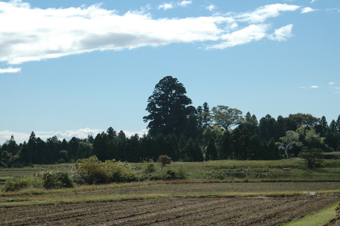 b0165522_17552482.jpg
