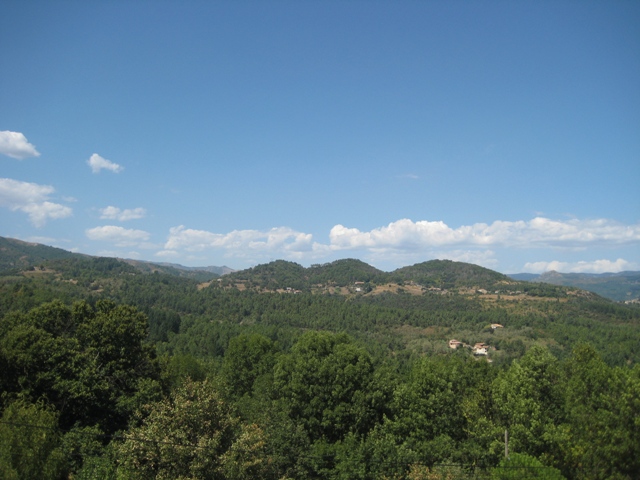 b0168823_895378.jpg