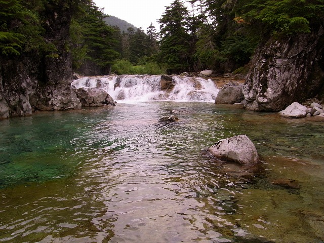 d0111124_13211982.jpg
