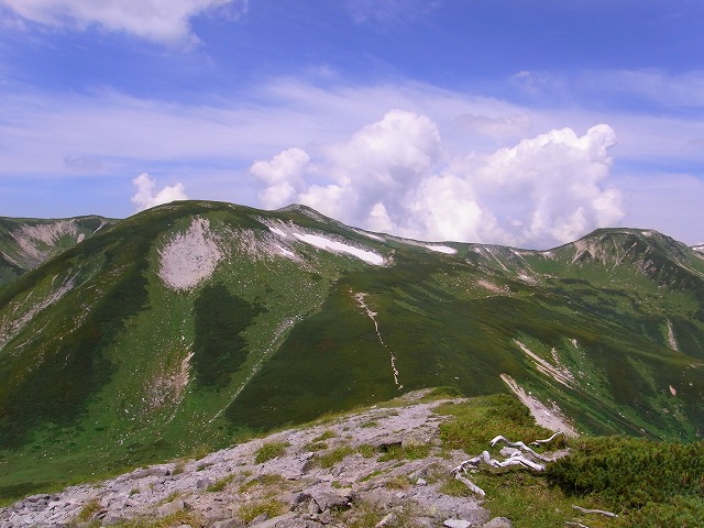 d0111124_13502920.jpg