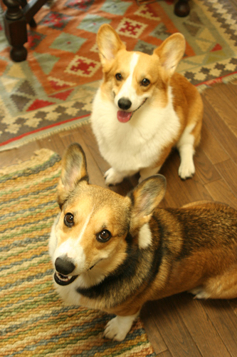e0071225_012759.jpg