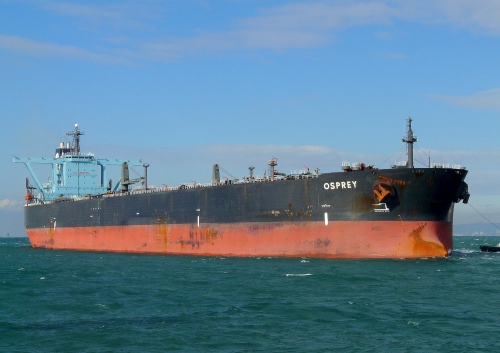 OSPREY_e0158925_2034997.jpg