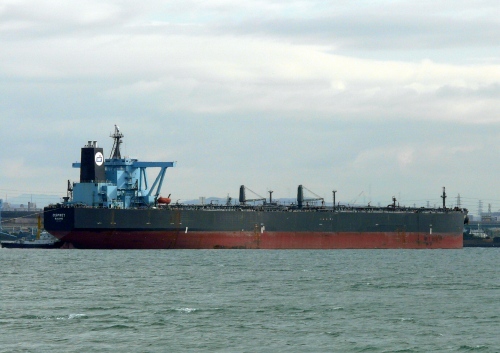OSPREY_e0158925_205030.jpg