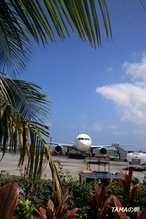 c0024729_14134642.jpg