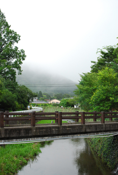 雨と共に九州　～ 雨に煙る由布院 ～ _f0177129_8512180.jpg