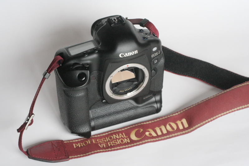さらば EOS-1D・・・・・・・・・白髭_d0138130_1281077.jpg