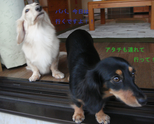 c0117831_21201347.jpg