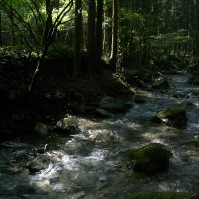 c0182231_21494451.jpg