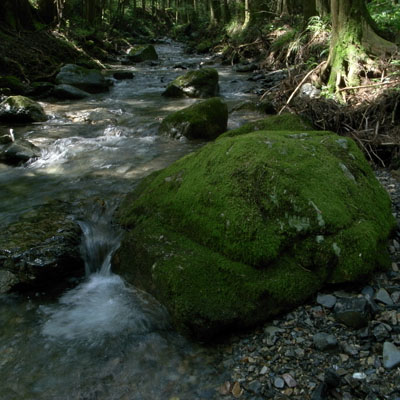 c0182231_21502883.jpg