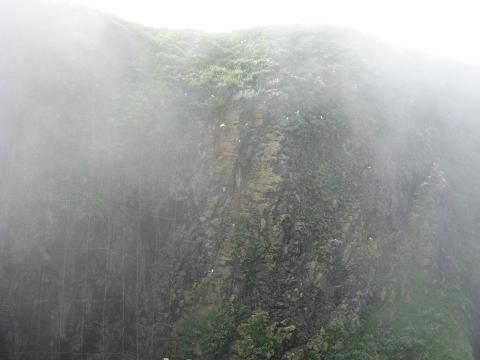 c0081032_19204235.jpg