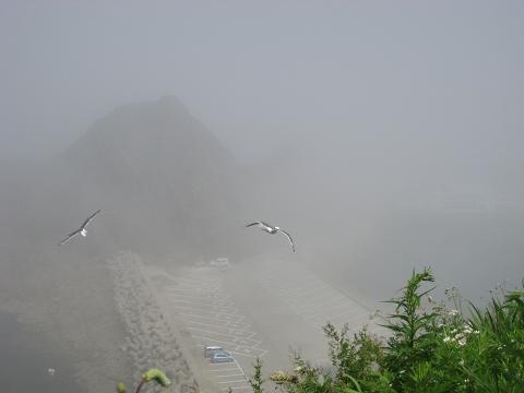 c0081032_19244667.jpg
