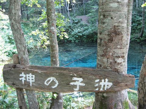 c0081032_19311172.jpg