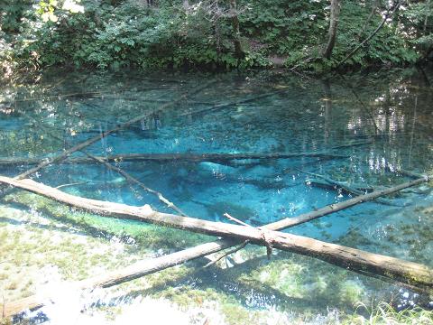 c0081032_19323890.jpg