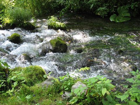 c0081032_19341478.jpg