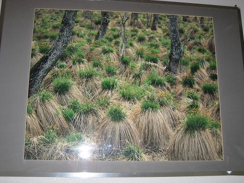 c0081032_21104629.jpg