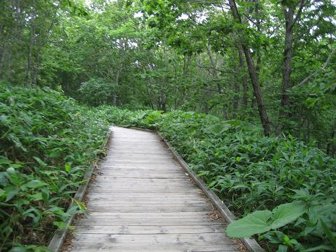 c0081032_2116368.jpg