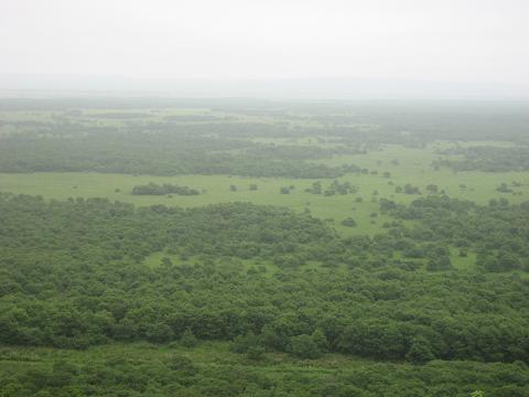 c0081032_21185316.jpg