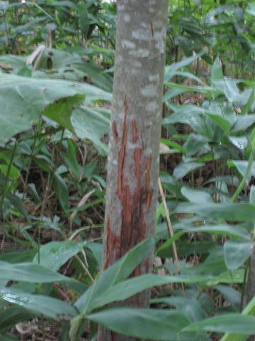 c0081032_21261011.jpg