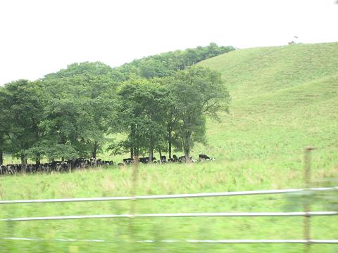 c0081032_2164010.jpg
