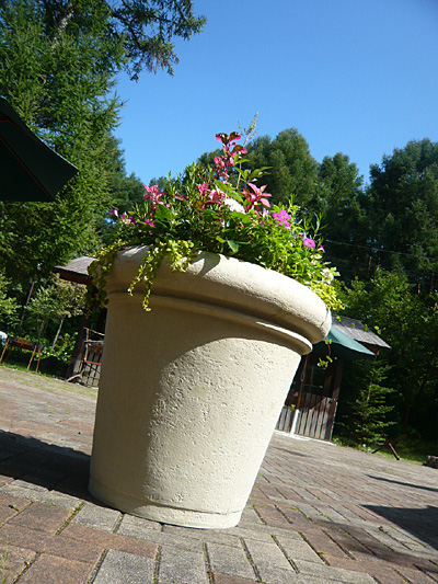 a0137240_0354187.jpg