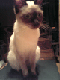 f0159844_1672669.gif
