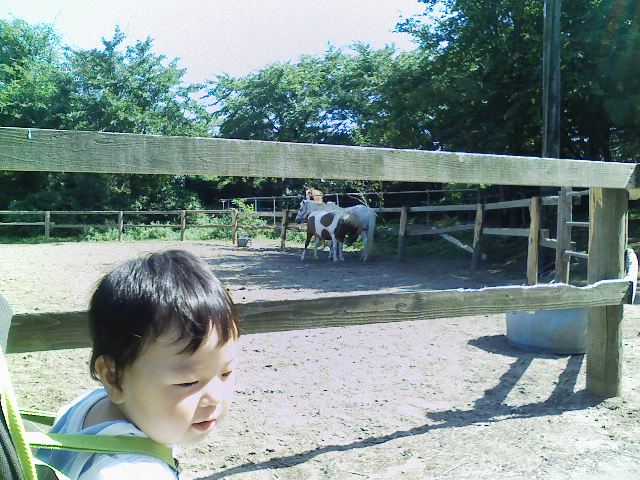 f0111747_15465687.jpg