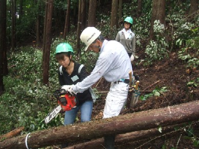 森林ボランティア募集中（土佐の森・救援隊）_f0126949_6345887.jpg