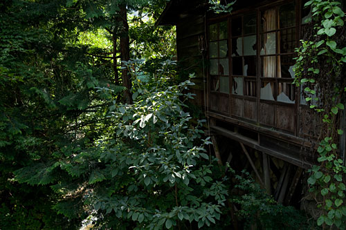 2009/08/23 わたらせ渓谷鐵道方面に_b0171364_858586.jpg