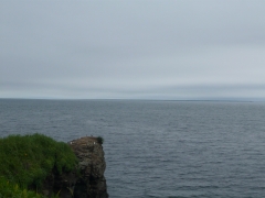 f0136366_23582825.jpg