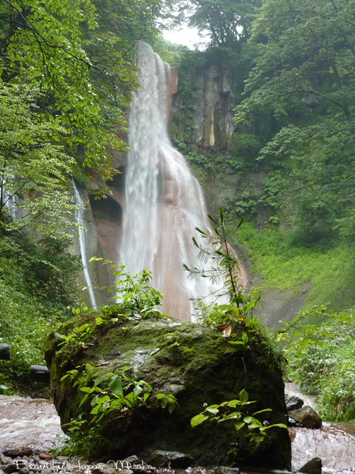 a0117267_1374640.jpg