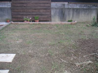 d0116969_175325.jpg