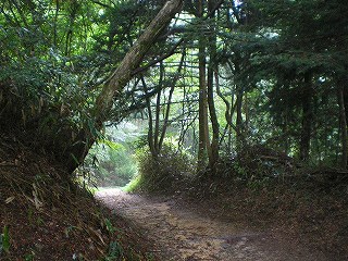 b0056570_2344416.jpg
