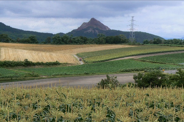 b0068572_20501010.jpg