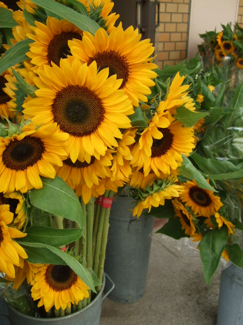 f0049672_22471599.jpg